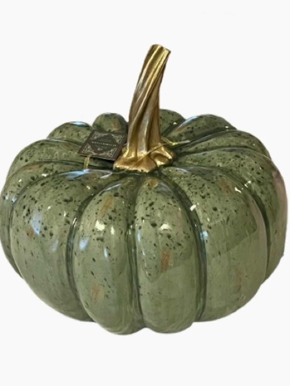 🆕- Glazed Resin Large Decorative Pumpkin with Gold Stem - Beautiful
